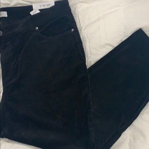 Brand new with tags loft velvet like jeans